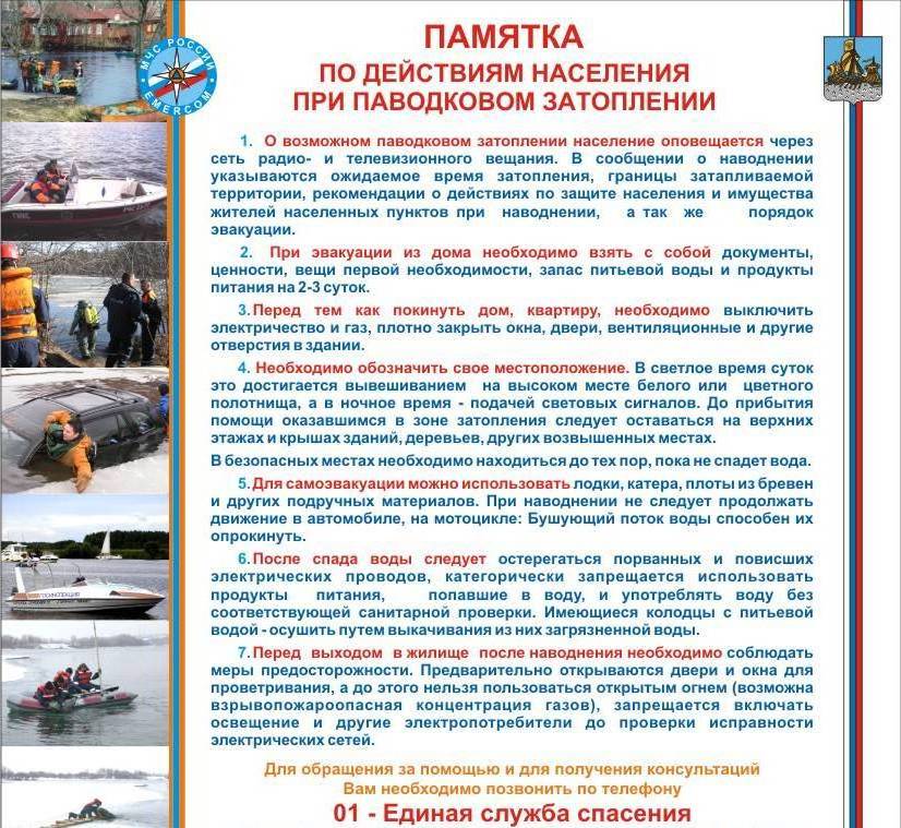гоичс1.jpg